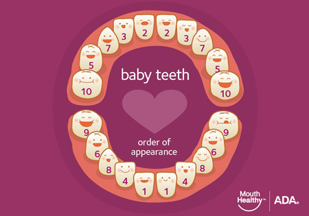 Eruption Sequence of baby teeth